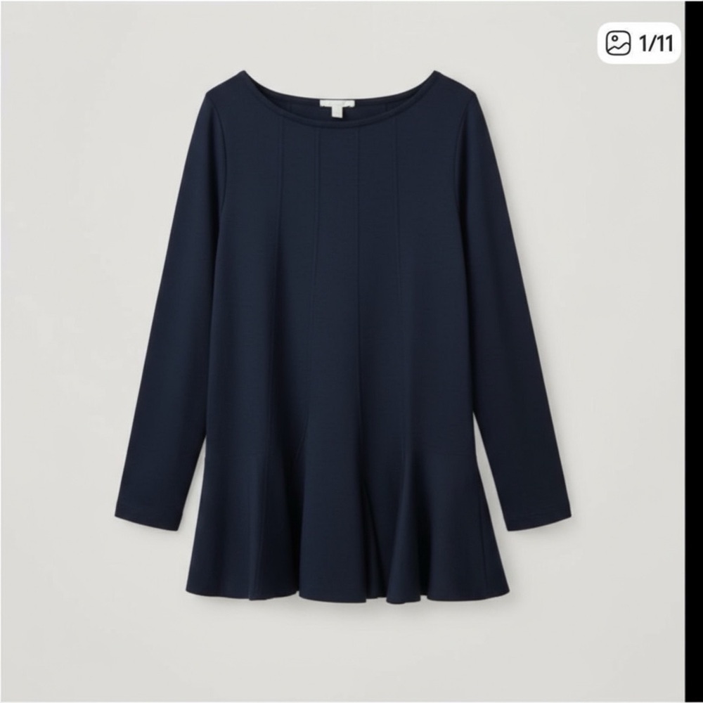 COS Tunic Length Longsleeve with pleated Skirt bottom Size M